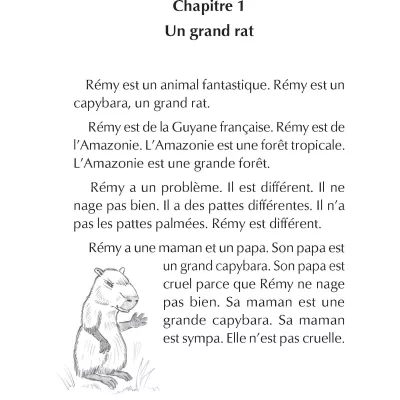 French Le capybara botté Novel 5-pack image #2